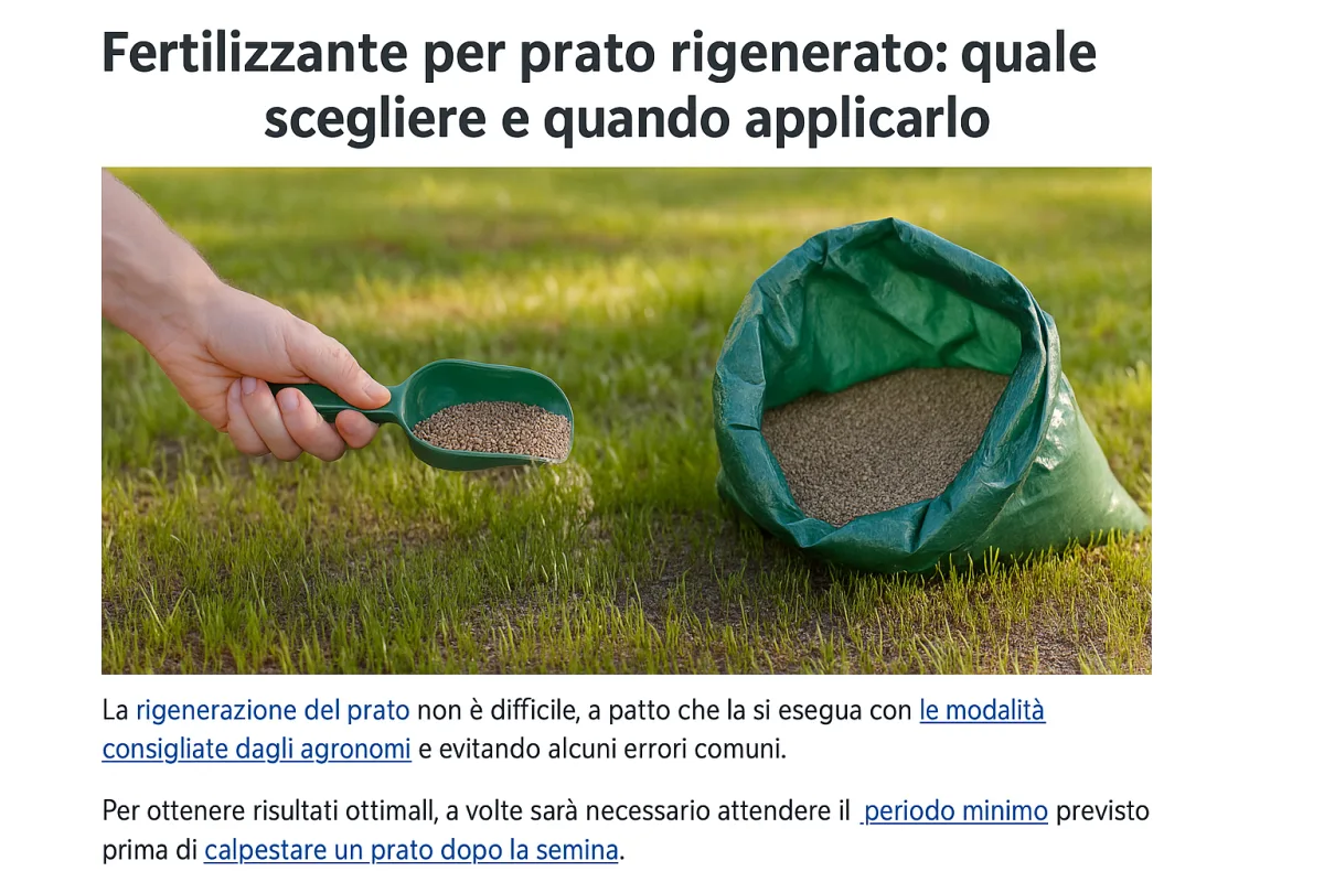Fertilizzante per prato rigenerato: quale scegliere e quando applicarlo