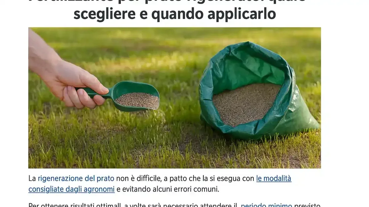 Concime estivo avanzato a ottobre: perché più azoto non significa preparare meglio il prato all’inverno