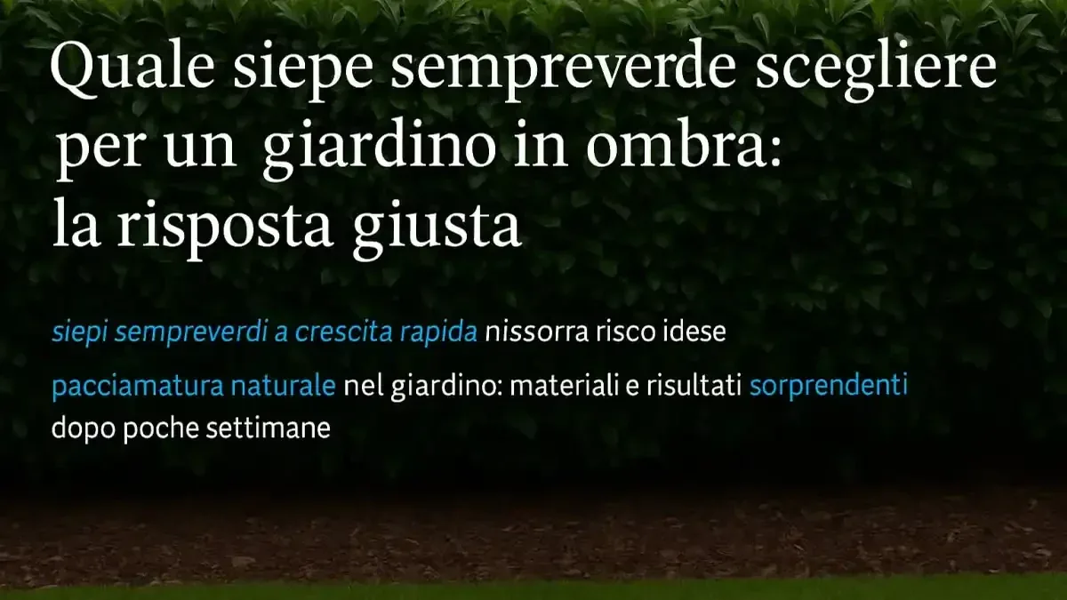 Patina verde nelle zone più buie del prato: quando l’alga racconta soprattutto ombra e drenaggio insufficiente