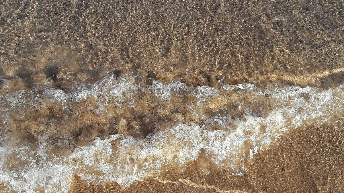 Acqua che resta sulla superficie del terriccio: come verificare se il vaso è troppo pieno