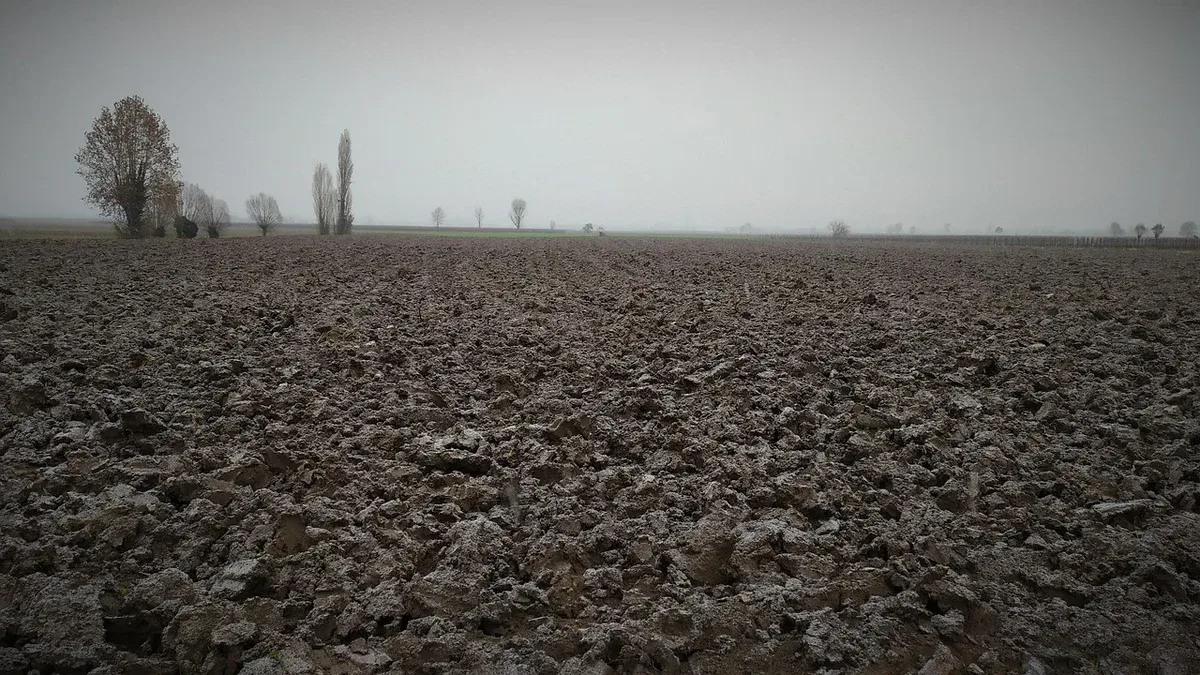 Terreno argilloso che forma una crosta: come lavorare la superficie senza compattarla