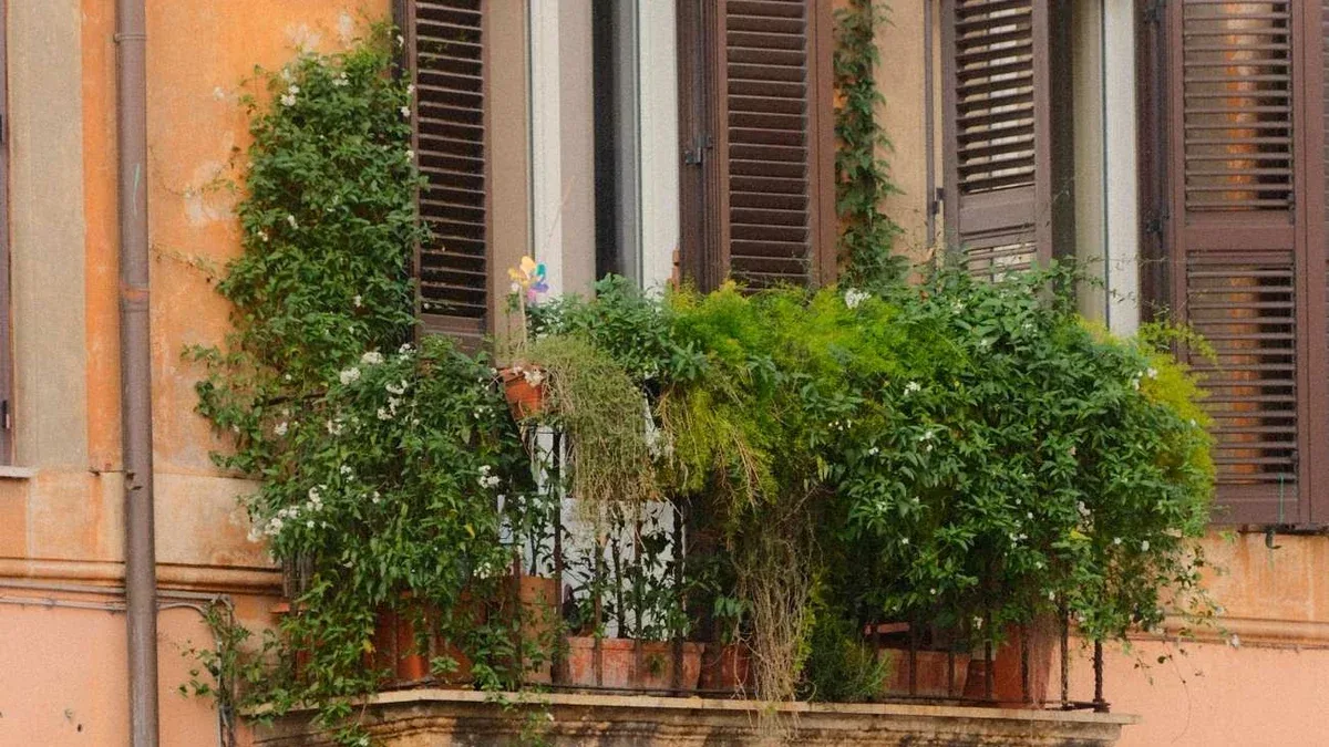 Aromatiche sul balcone ventoso: come posizionare i vasi per limitarne l'asciugatura