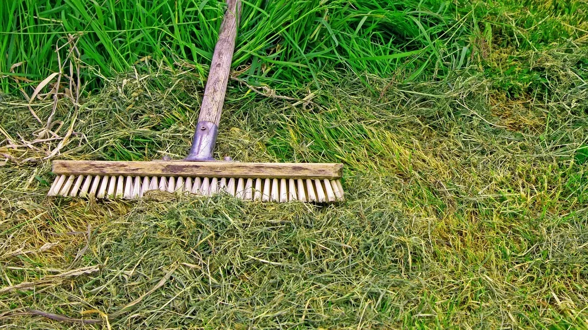 Erba tagliata sul prato: quando lasciarla e quando raccoglierla