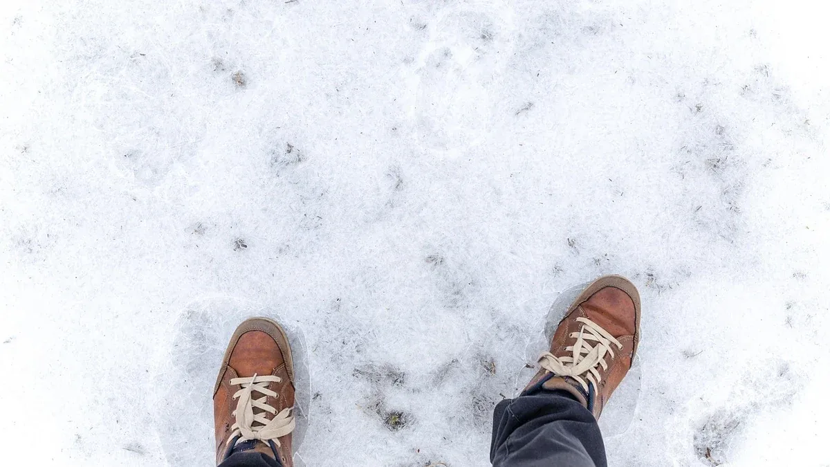 Prato sotto la neve: cosa evitare quando il terreno è gelato
