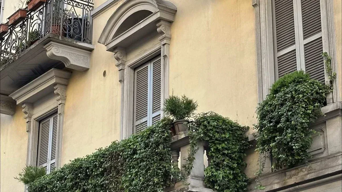 Arbusti sotto una grondaia: come valutare l’acqua che cade nell’aiuola