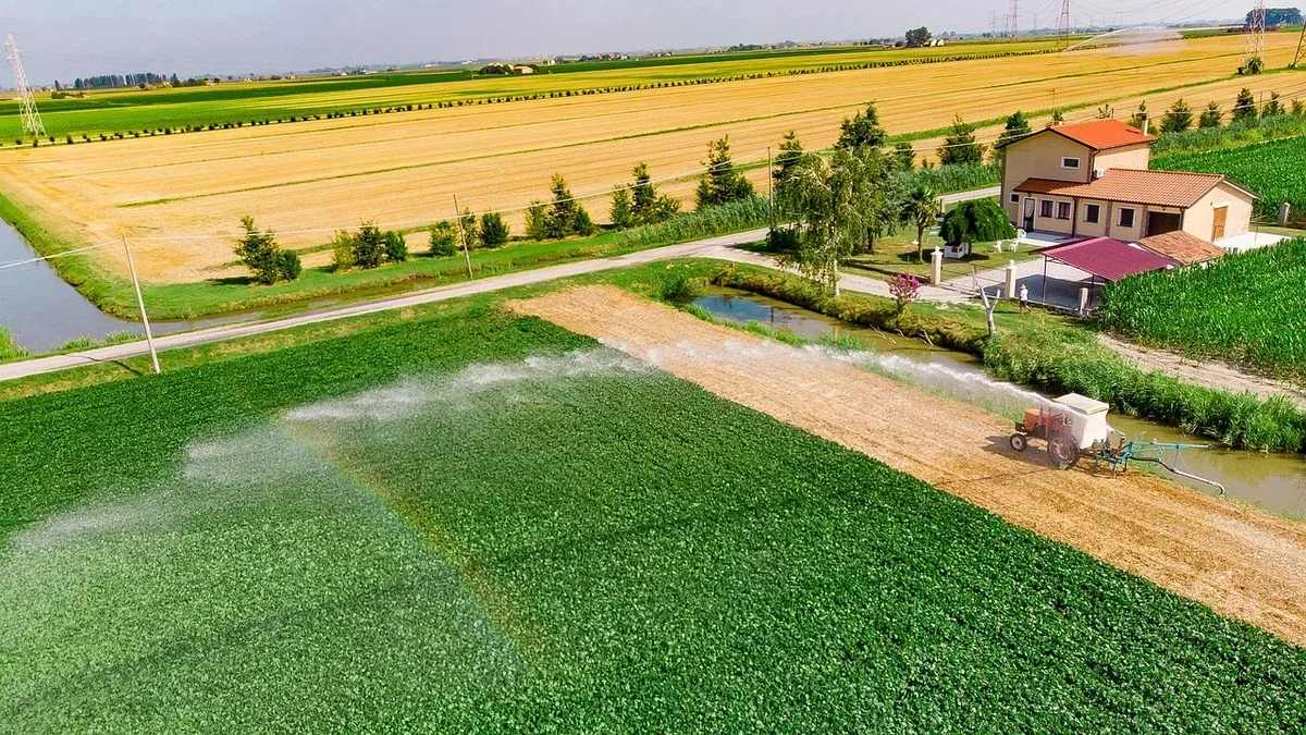 Irrigatori del prato che bagnano il vialetto: come controllare raggio e direzione