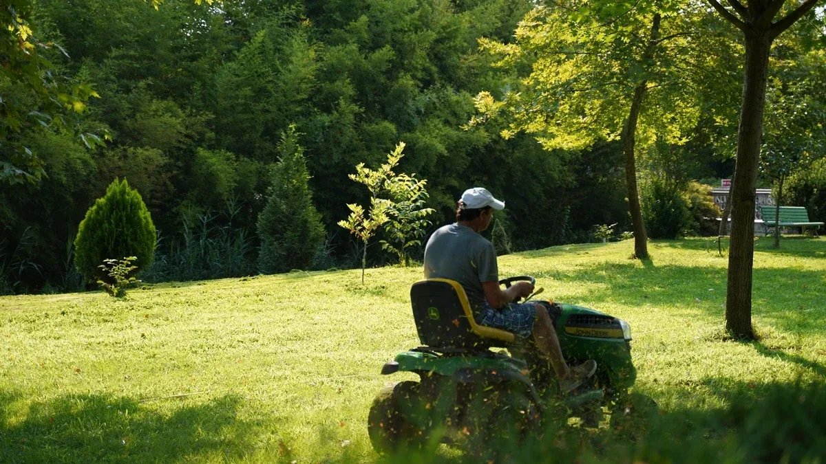 Come preparare il prato al primo taglio dopo una lunga pausa