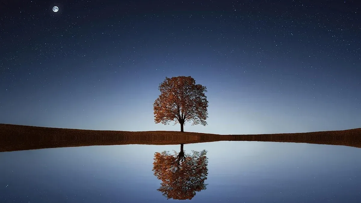Albero con due fusti principali: cosa osservare prima di intervenire sulla biforcazione