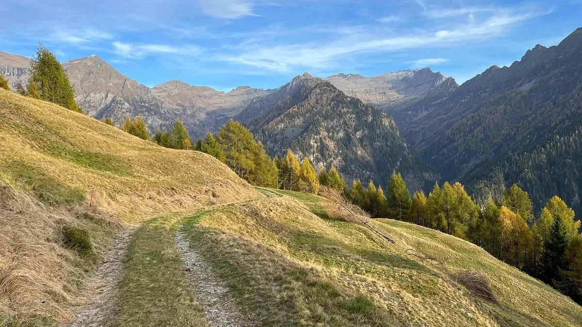Prato ingiallito a chiazze in autunno: cosa controllare