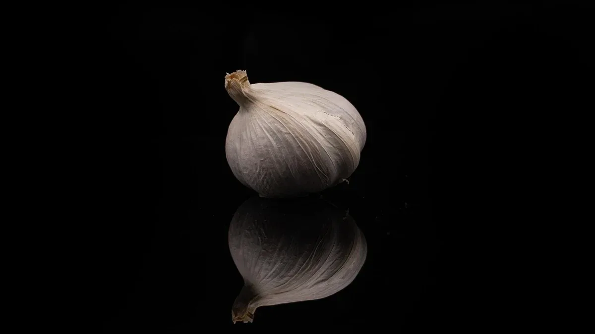 Aglio nell'orto: quando interrare gli spicchi