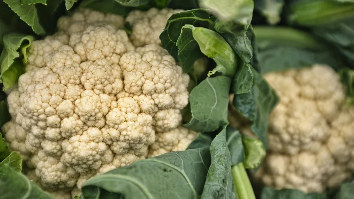 Cavolfiori nell'orto: come controllare la crescita del corimbo