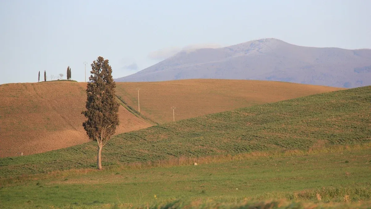 Prato con terra argillosa: come valutare il drenaggio